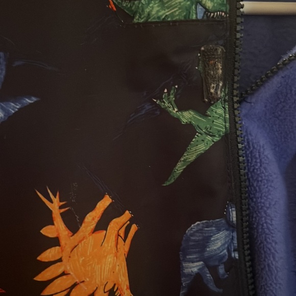 Dinosaur Jacket - Picture 8 of 9